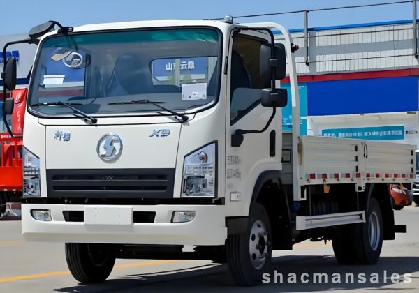 Shacman X9 4x2 Light Truck - Image 4