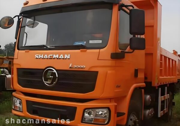 Shacman L3000 4x2 Light Truck - Image 3