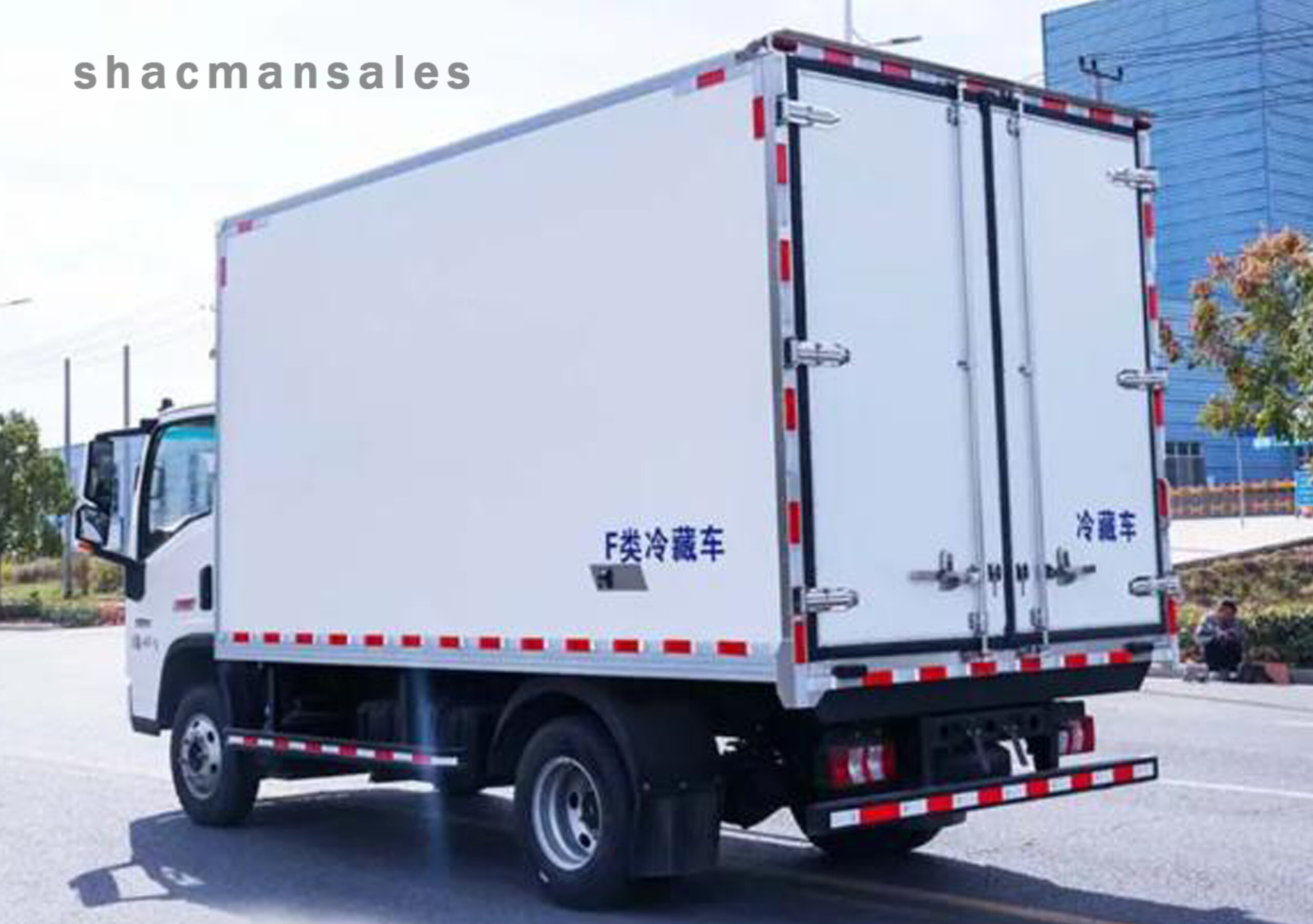 Shacman 4×2 6 Ton Cargo Truck