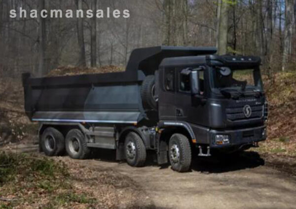 Shacman X3000 8x4 Left Hand Drive Dump Truck - Image 5